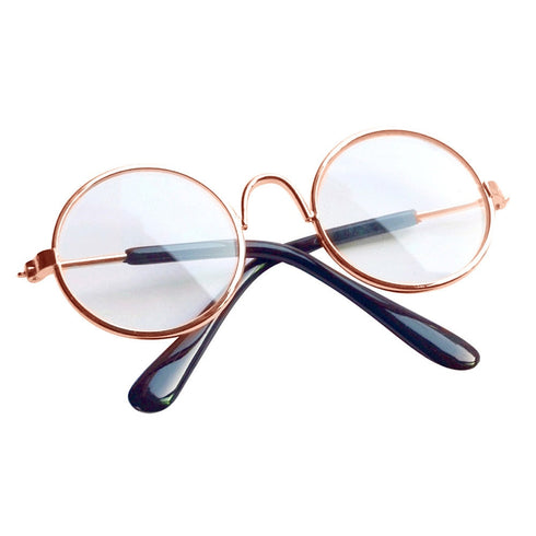 Coloured Dog Glasses